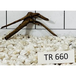 Spiderwood 660