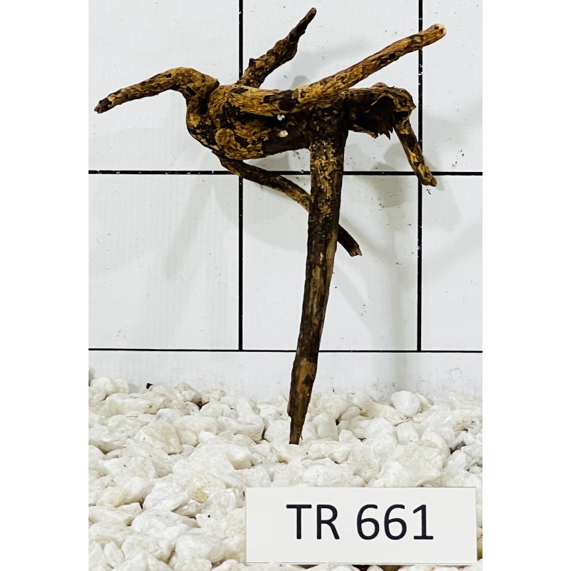 Spiderwood 661