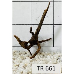 Spiderwood 661
