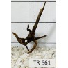 Spiderwood 661