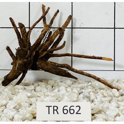 Spiderwood 662