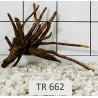 Spiderwood 662