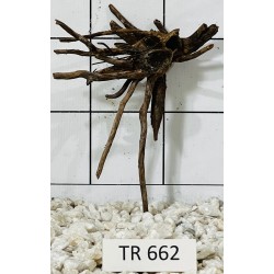 Spiderwood 662
