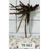 Spiderwood 662