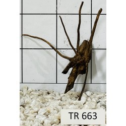 Spiderwood 663