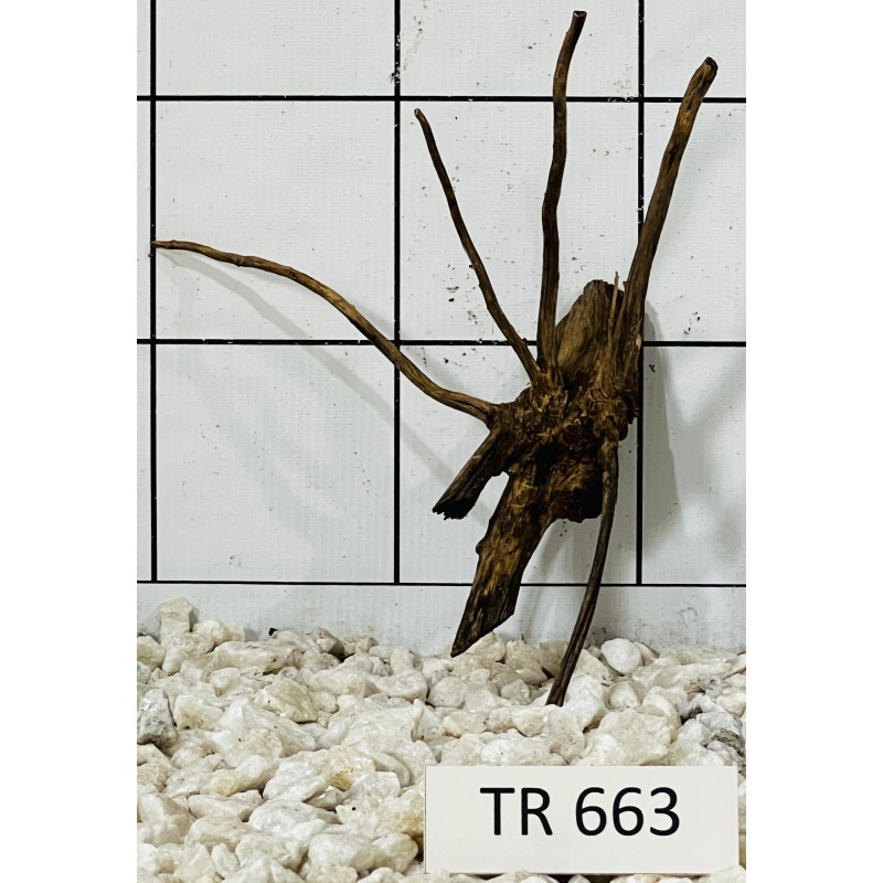 Spiderwood 663