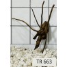 Spiderwood 663