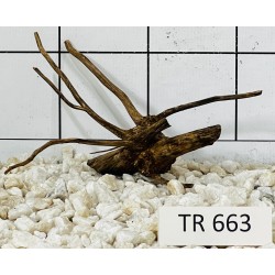 Spiderwood 663