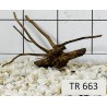 Spiderwood 663