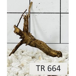 Spiderwood 664