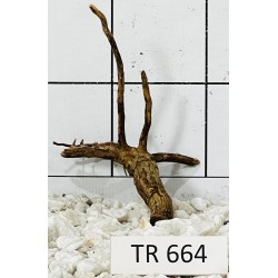Spiderwood 664