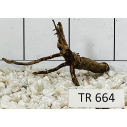 Spiderwood 664