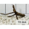 Spiderwood 664