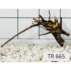 Spiderwood 665