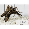 Spiderwood 665
