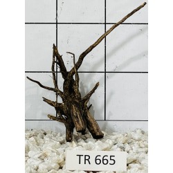 Spiderwood 665