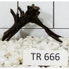 Spiderwood 666