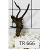 Spiderwood 666