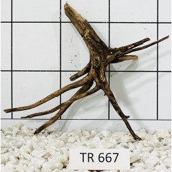 Spiderwood 667