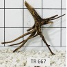 Spiderwood 667