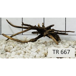 Spiderwood 667