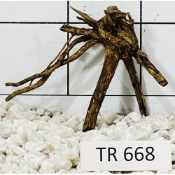 Spiderwood 668