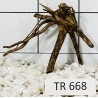 Spiderwood 668