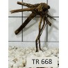 Spiderwood 668