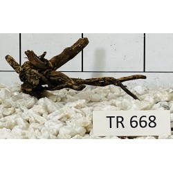 Spiderwood 668