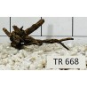 Spiderwood 668