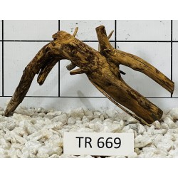 Spiderwood 669