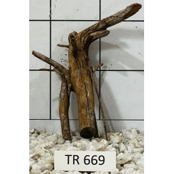 Spiderwood 669