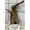 Spiderwood 669
