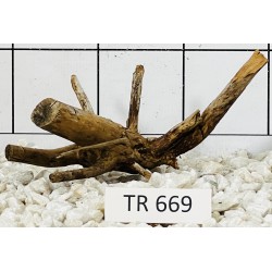 Spiderwood 669