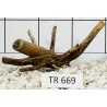 Spiderwood 669
