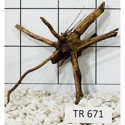 Spiderwood 671