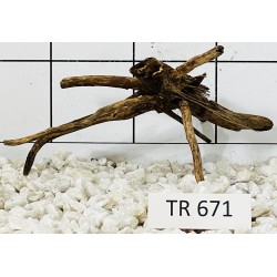 Spiderwood 671