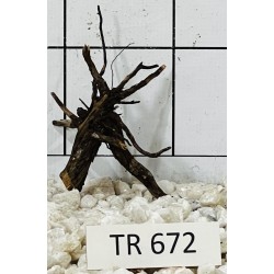 Spiderwood 672