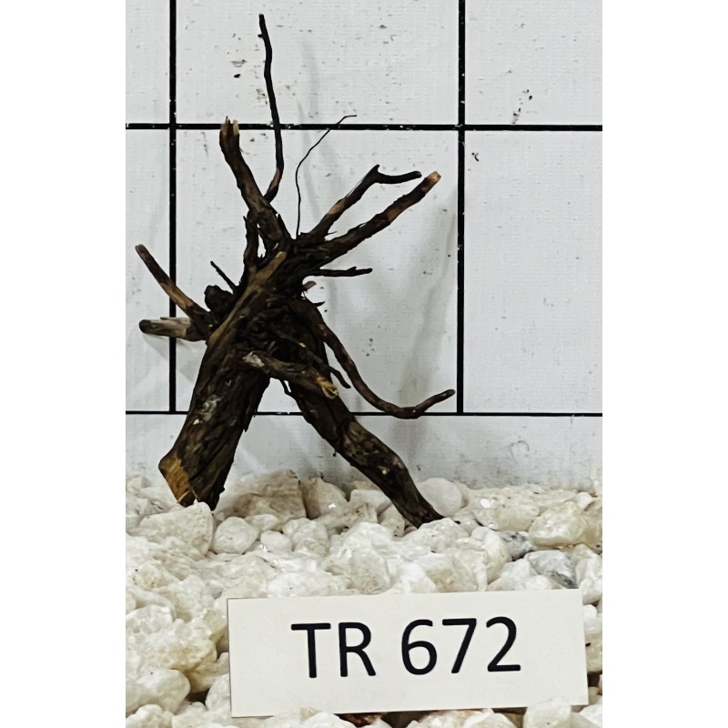 Spiderwood 672