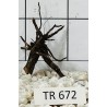 Spiderwood 672