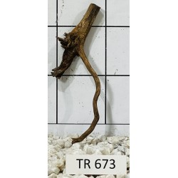 Spiderwood 673