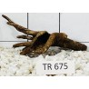Spiderwood 675