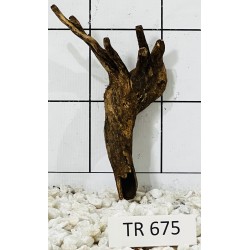 Spiderwood 675