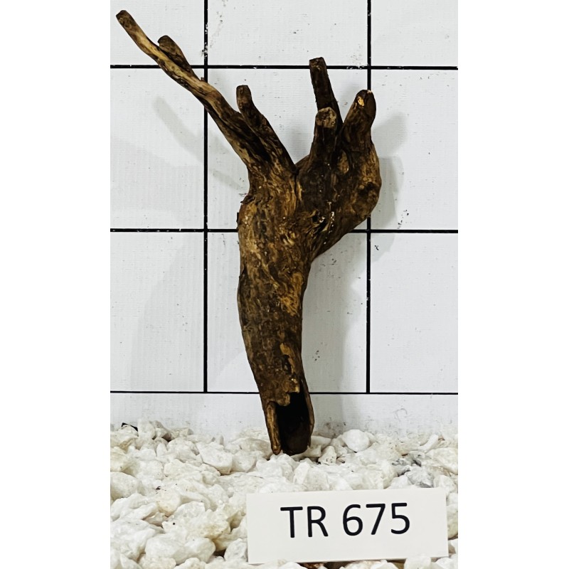 Spiderwood 675