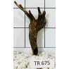 Spiderwood 675