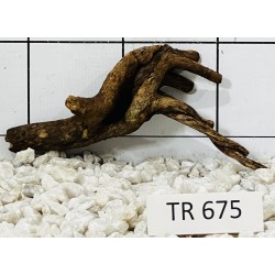 Spiderwood 675
