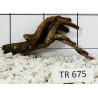 Spiderwood 675