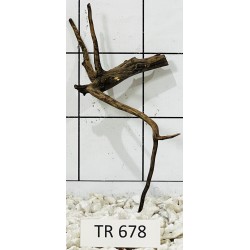 Spiderwood 678