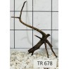 Spiderwood 678