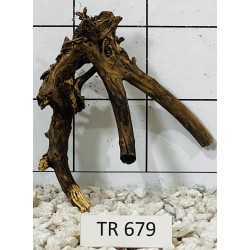 Spiderwood 679